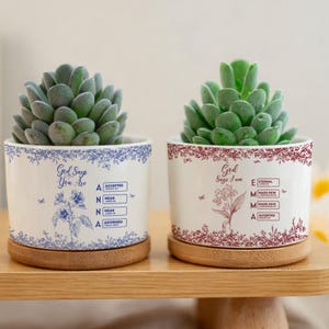 May include: Two white ceramic succulent planters with wooden bases. One planter has blue floral designs and the text "God Says You Are." The other has red floral designs and the text "God Says I Am." Both planters contain green succulents.