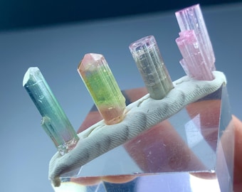 Puede incluir: Un expositor transparente en forma de prisma que contiene varios cristales de turmalina. Los cristales son de varios colores, incluyendo verde, rosa y transparente, y están montados sobre una base blanca. Los cristales están dispuestos verticalmente.