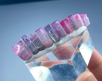 Puede incluir: Un grupo de cristales de turmalina rosa y púrpura se exhibe sobre una base acrílica transparente y facetada. Los cristales están dispuestos en fila, mostrando sus formas naturales y alargadas y sus variados tonos de color. El fondo es azul suave.