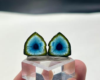 Tricolor blue tourmaline slices from Afghanistan -21 carats