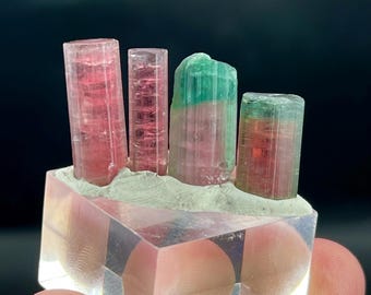 885カラットの驚くべきバイカラートルマリン結晶、白雲母コンバイン