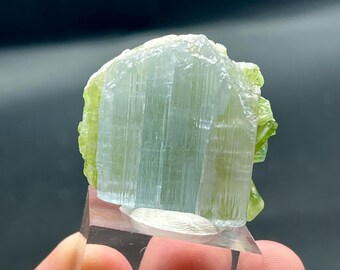 May include: A translucent, light blue and green crystal formation. The crystal is mounted on a clear, rectangular stand. The crystal has a layered appearance with vertical striations, and the green sections are at the top.