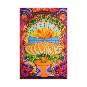 Vintage 1968 psychedelic Fillmore concert poster