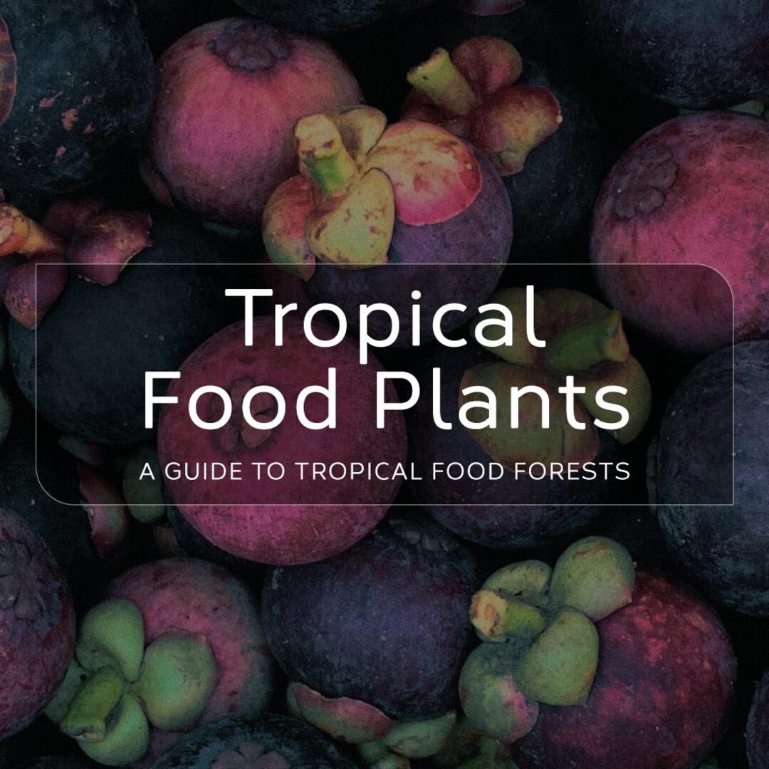 Tropical Food Forest Guide | 150+ Edible Plant Profiles (digital ...