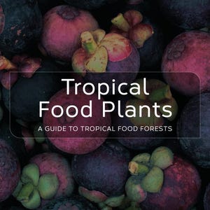 Tropical Food Plants | A guide to tropical food forests | 150+ plant profiles | How to start a food forest