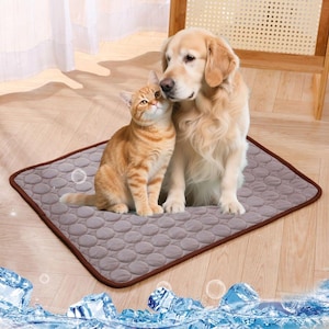 Cooling Pet Bed – Summer Comfort for Dogs & Cats, Durable Chill Mat for All Sizes