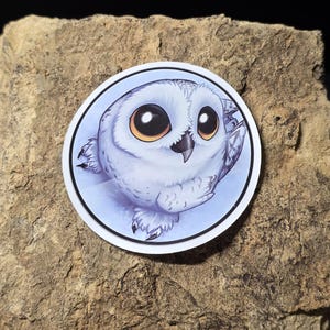 May include: A round sticker featuring a cartoon snowy owl with large, orange eyes and white feathers. The owl is set against a light blue background within a white border. The sticker is placed on a rough, brown stone surface.