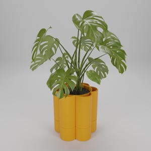 May include: A vibrant yellow planter with a Monstera plant. The plant has large, green, split-leaf foliage. The planter has a unique, cylindrical design. The plant pot is filled with dark soil.