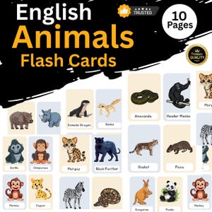 Montessori Grammar Flashcards | English Grammar Worksheets PDF | Grammar Symbols, Cards, Boxes | Grammar Rules for Kids Homeschool