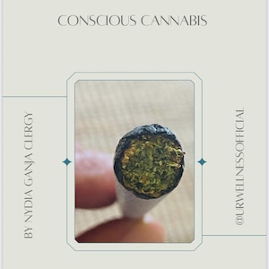 May include: A workbook titled "WORKBOOK" with the subtitle "CONSCIOUS CANNABIS." The image features a close-up of a rolled cannabis joint. The text "BY NYDIA GANJA CLERGY" and "@URWELLNESSOFFICIAL" are also visible.