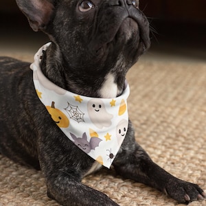 Personalized Halloween Pet Bandana: Clip-on Costume, Fall Fashion