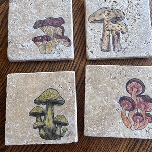 May include: Four square stone coasters with hand-drawn mushroom illustrations. Each coaster features a different mushroom design in shades of brown, green, and purple. The coasters are set on a wooden surface.