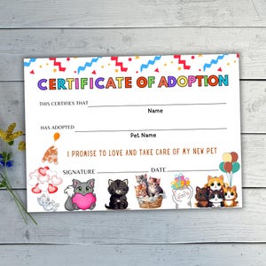 How Do I Make a Cat Adoption Certificate: Easy Steps to Impress