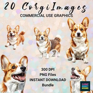 Corgi Dog Clipart Bundle dla miłośników psów 20 plików PNG z przezroczystym tłem | Urocze ilustracje zwierząt domowych do użytku cyfrowego, naklejki, rzemiosło