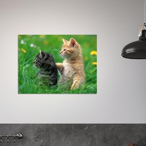 Cute Cats Fine art-poster