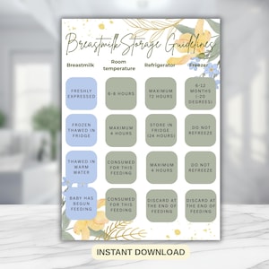 Digital Breastmilk Storage Guide, Printable Breastmilk Guidelines PDF,  Pumping Guide,  Breast Milk Cheat Sheet, Expressed Breastmilk
