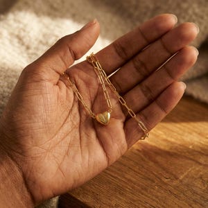 Puede incluir: Un collar dorado con un colgante en forma de corazón. El collar se sostiene en una mano, mostrando la delicada cadena y el dije de corazón pulido. La joya se exhibe sobre un fondo neutro.