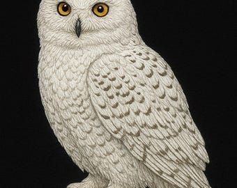 Elegant Snowy Owl Embroidery Design | Realistic Bird Machine Embroidery Pattern for Nature Lovers instant download  Pes Jef DGT  file