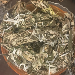 エウェ・アジョバレ (Croton zambesicus)/ 1房あたり