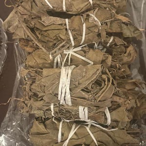 乾燥羊アココ（Newbouldia laevis）/ 1房