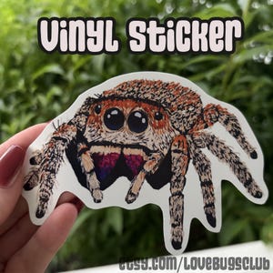 Jumping Spider Vinyl Sticker