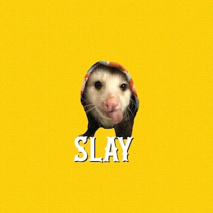 Rainbow SLAY Opossum Button