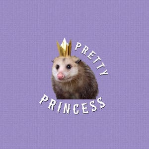 Rainbow Pretty Princess Opossum Button