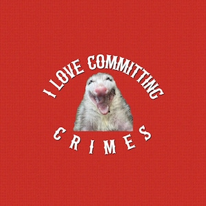 Rainbow I love committing crimes Opossum Button