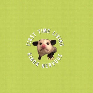 Rainbow First time living Opossum Button