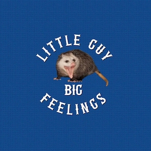 Rainbow Little Guy Opossum Button