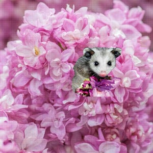 Flowers Pink Opossum Button