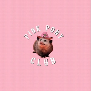 Rainbow Pink Pony Club Opossum Button