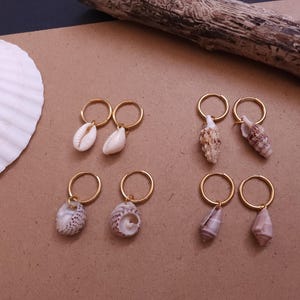 May include: Six pairs of gold hoop earrings, each featuring a different seashell pendant. The shells display a variety of shapes, colours, and textures, from smooth white to patterned brown and beige. A large white seashell and driftwood are in the background.