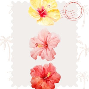 Arte de parede de cartão postal de hibisco