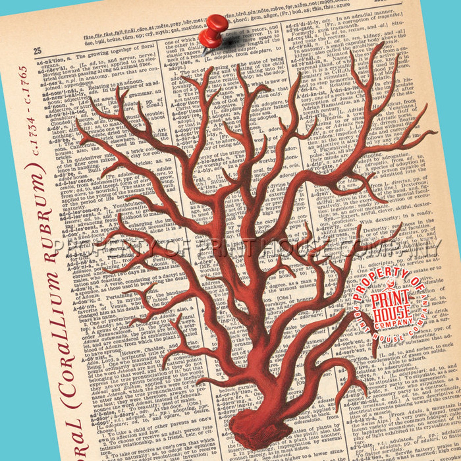 Coral Dictionary Print Vintage Natural History Illustration Etsy