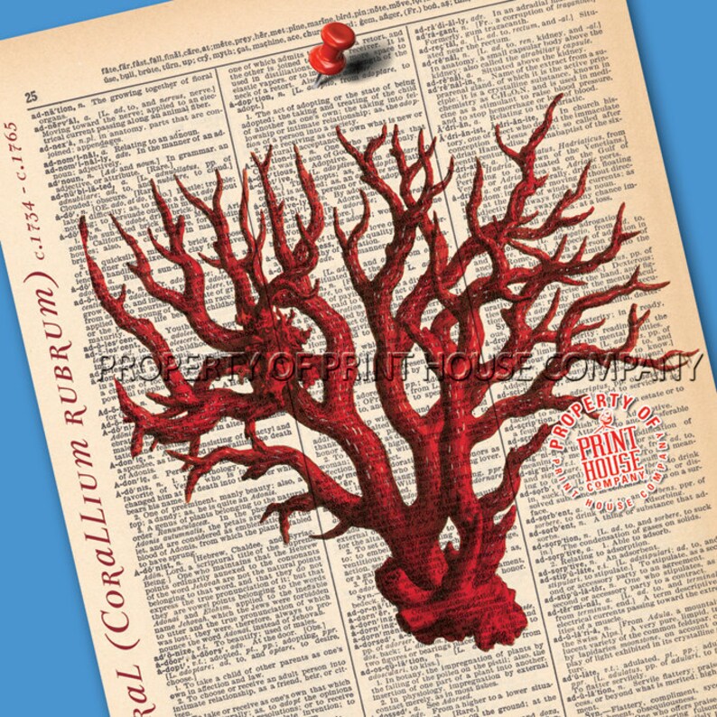 Coral Dictionary Print Vintage Natural History Illustration Etsy