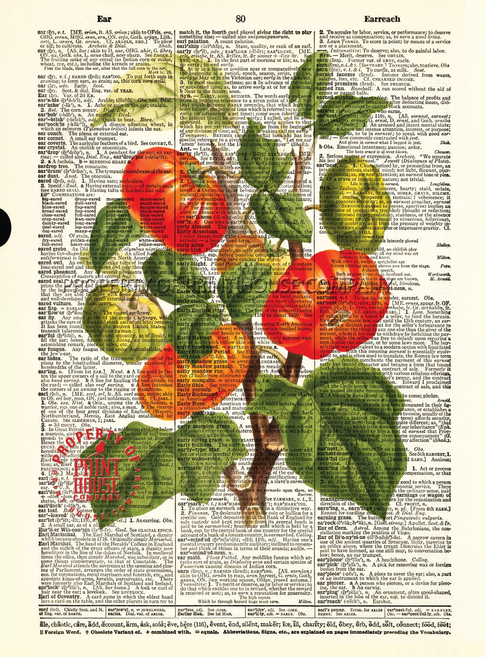 Tomato Plant dictionary print vintage botanical Etsy