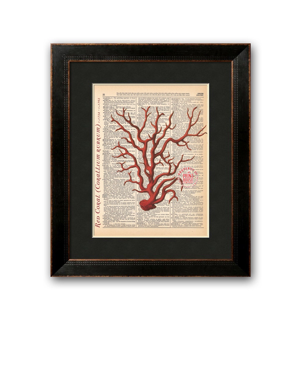 Coral Dictionary Print Vintage Natural History Illustration Etsy