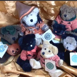 May include: A collection of seven plush teddy bears in various colors, including brown, black, and cream. Several bears wear knitted sweaters with pumpkin patterns, while one wears a brown pointed hat. Each bear features a white paper tag.