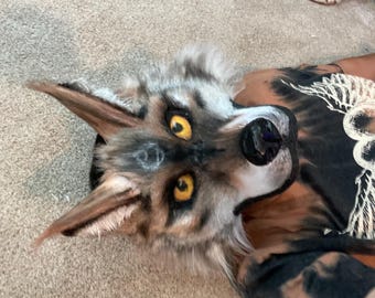 Canine Therian Mask Commissions