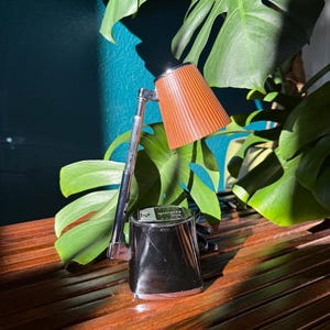 May include: A vintage desk lamp with a chrome arm and base, and a pleated, brown lampshade. The lamp is set against a backdrop of lush green leaves and a dark teal wall, creating a contrast of textures and colors.