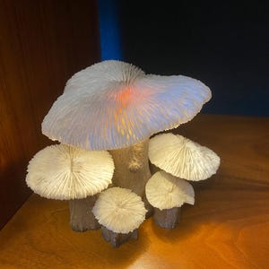 Vintage MCM Coral And Drift Wood Mushroom Lamp