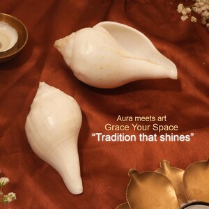 Vishnu Puja Conch Shell Heliga rituella altare Shankh Hindu Temple Använd andlig praxis bild 9