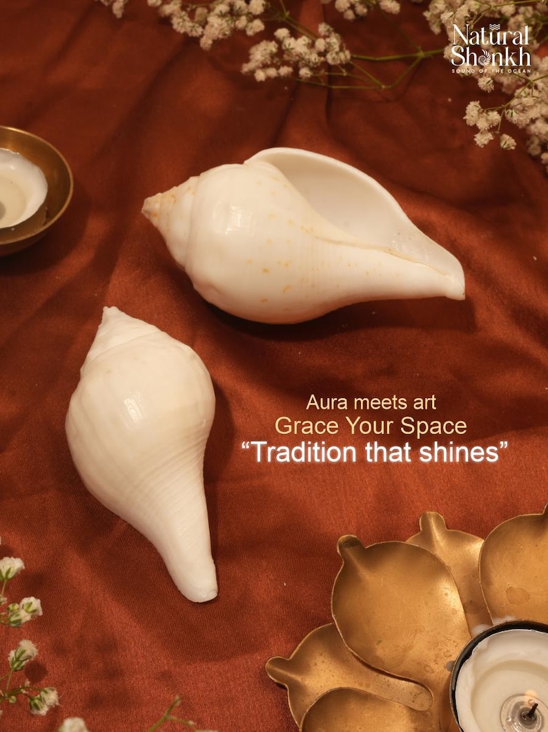 Vishnu Puja Conch Shell Heliga rituella altare Shankh Hindu Temple Använd andlig praxis bild 9