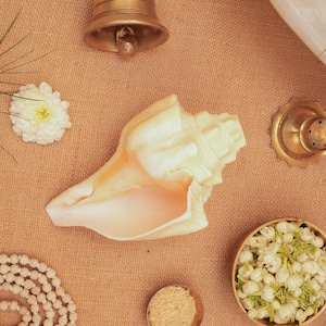 Natural Shankh Shell: Vishnu Vahan Garuda, Sacred Puja Conch, Loud