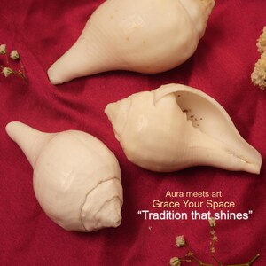 Puede incluir: Tres conchas blancas sobre una tela rojo oscuro, con peque&ntilde;as flores blancas. Las conchas tienen una textura suave y brillante. El texto en la imagen dice "Aura meets art, Grace Your Space, Tradition that shines."