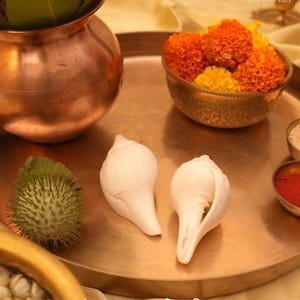 Vishnu Puja Conch Shell Heliga rituella altare Shankh Hindu Temple Använd andlig praxis bild 4