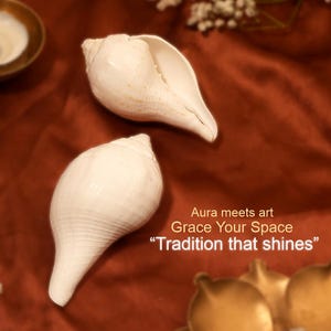 Vishnu Puja Conch Shell Heliga rituella altare Shankh Hindu Temple Använd andlig praxis bild 5