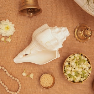 Vishnu Vahan Garuda Shankh: Sacred Conch Shell for Puja & Vastu