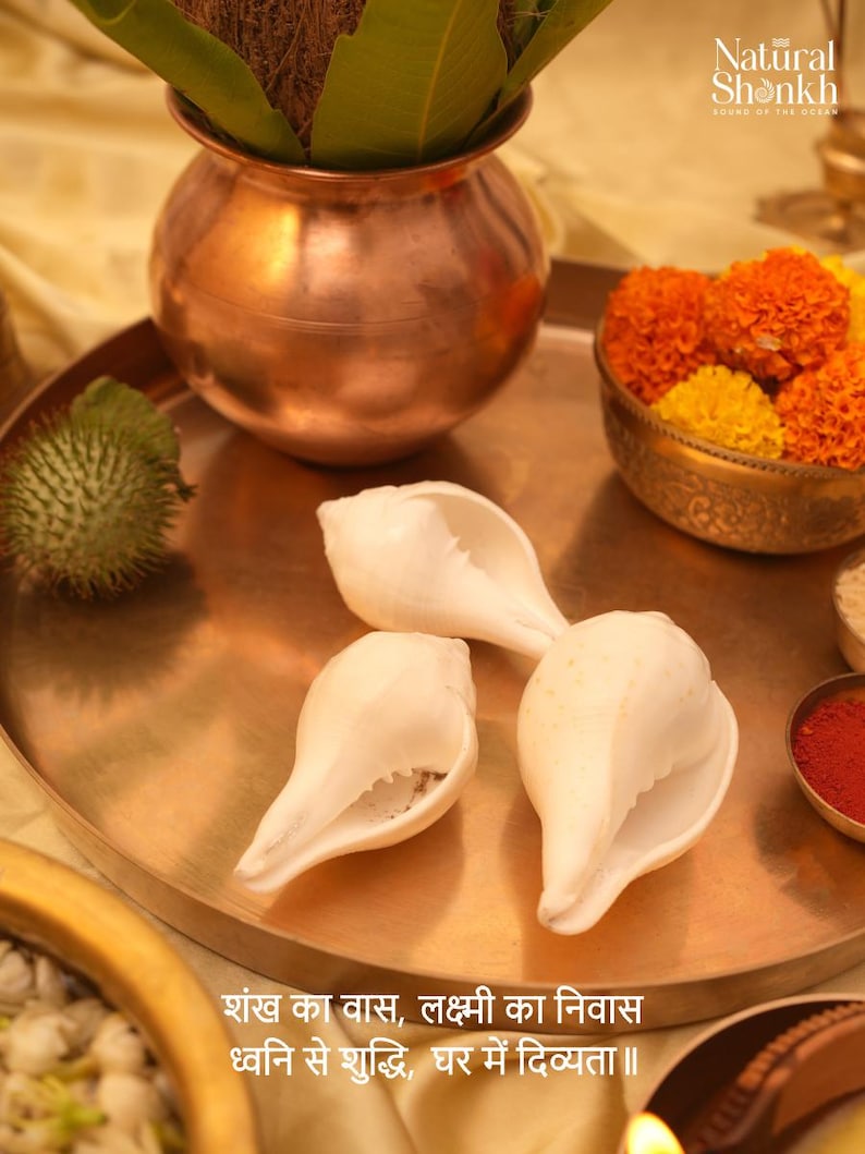 Puede incluir: Una bandeja de color cobre contiene tres conchas blancas, una olla de cobre con hojas verdes y un cuenco de flores naranjas y amarillas. El texto "Natural Shonkh" es visible. La imagen tiene texto en idioma extranjero.